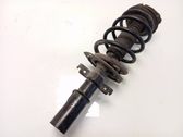 Front shock absorber with coil spring