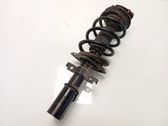 Front shock absorber with coil spring
