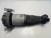 Rear shock absorber/damper