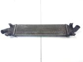 Intercooler radiator