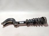 Front shock absorber with coil spring