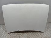 Engine bonnet/hood
