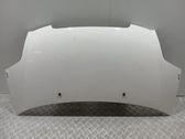 Motorhaube