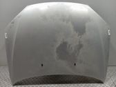 Motorhaube