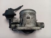 Throttle body valve