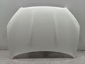 Capó/tapa del motor