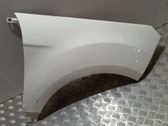 Fender