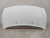 Engine bonnet/hood