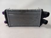 Radiador intercooler
