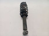 Front shock absorber with coil spring