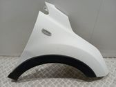 Fender