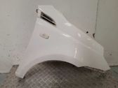 Fender