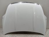 Engine bonnet/hood