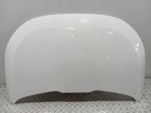 Motorhaube