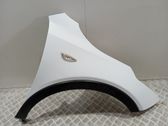 Fender