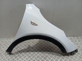 Fender