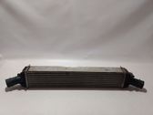 Intercooler radiator