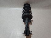 Front shock absorber with coil spring