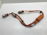 Other wiring loom