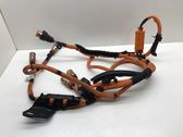 Other wiring loom