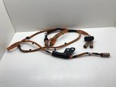 Other wiring loom