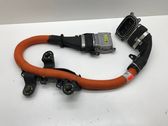 Other wiring loom