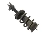 Front shock absorber with coil spring