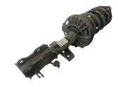 Front shock absorber with coil spring