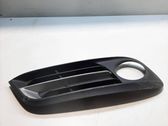 Front fog light trim/grill