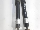 Rear shock absorber/damper