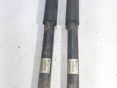 Stoßdämpfer hinten
