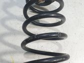 Front coil spring