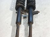 Front shock absorber with coil spring