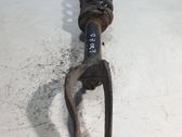 Front shock absorber with coil spring