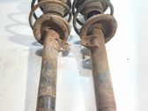 Front shock absorber/damper