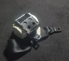 Cinturón trasero