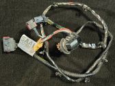 Rear door wiring loom