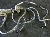 Rear door wiring loom