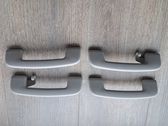 A set of handles for the ceiling