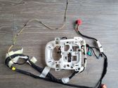 Other wiring loom