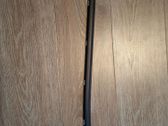 Rear door glass trim molding