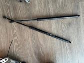 Tailgate/trunk strut/damper