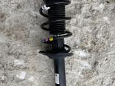Front shock absorber/damper