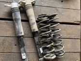 Rear shock absorber/damper