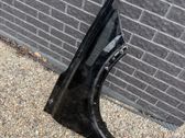 Fender