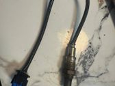 Sonde lambda