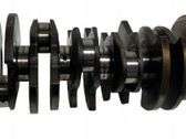 Vilebrequin du moteur