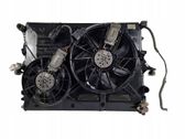Electric radiator cooling fan