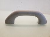 Front interior roof grab handle