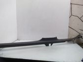 Front sill trim cover